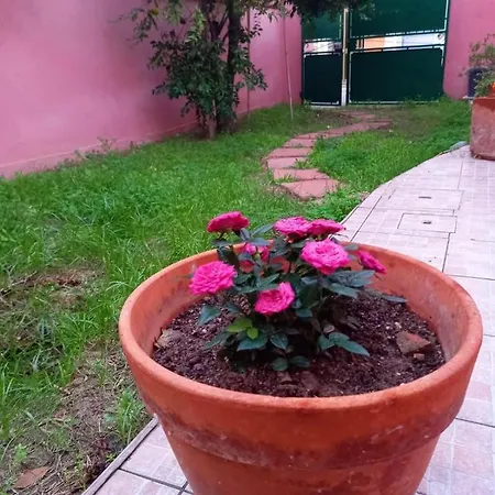 Il Giardino Dei Limoni