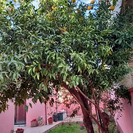 Il Giardino Dei Limoni Sìnnai